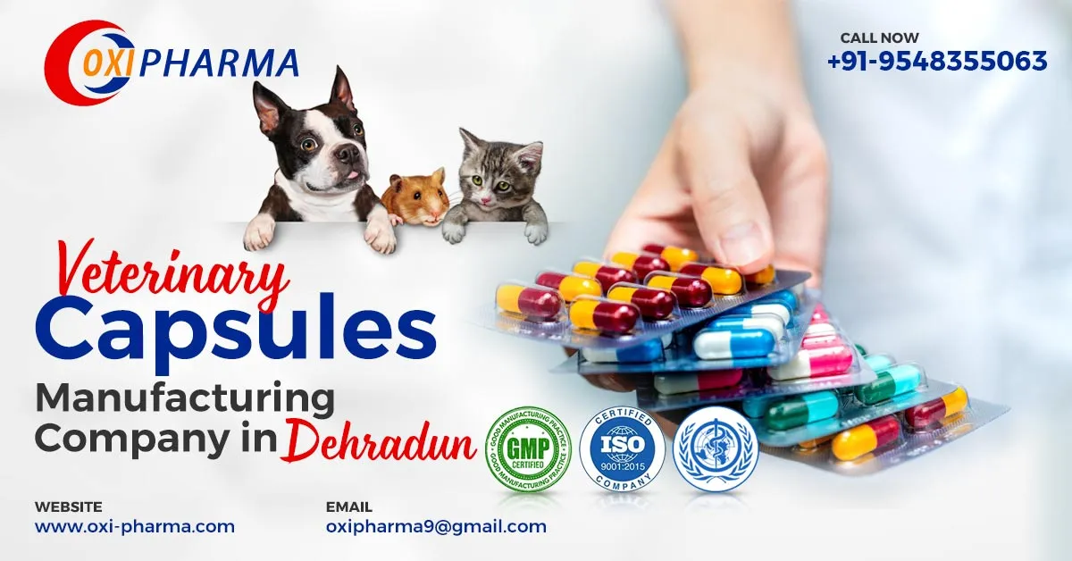 Veterinary Capsule Manufacturing Company in Dehradun